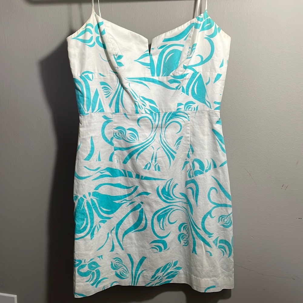 Mini Dress (4)